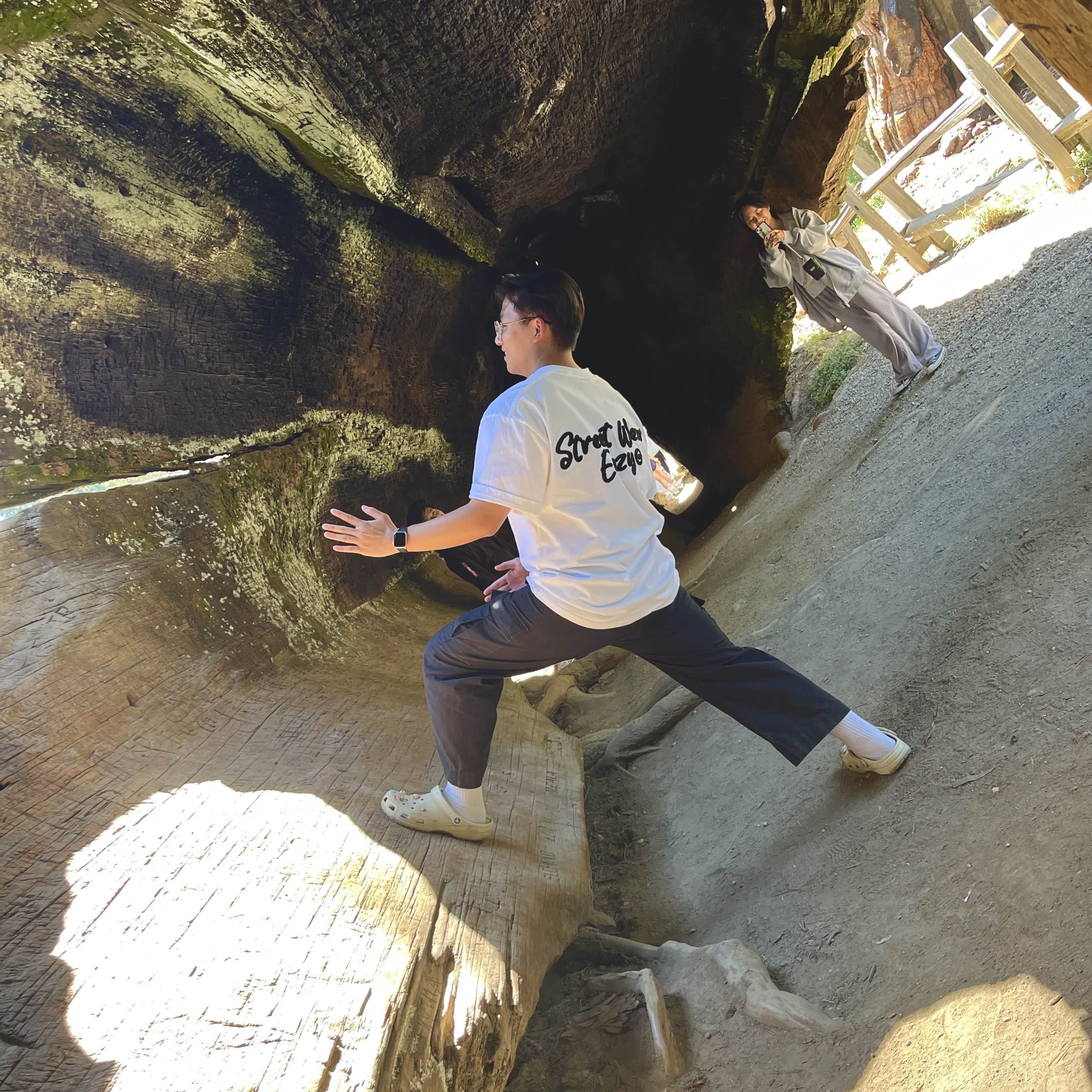 wall walkin