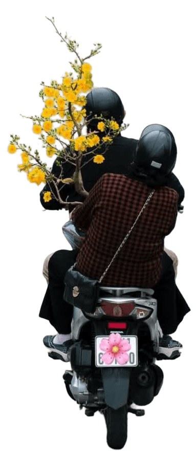 Riders carrying yellow flowers