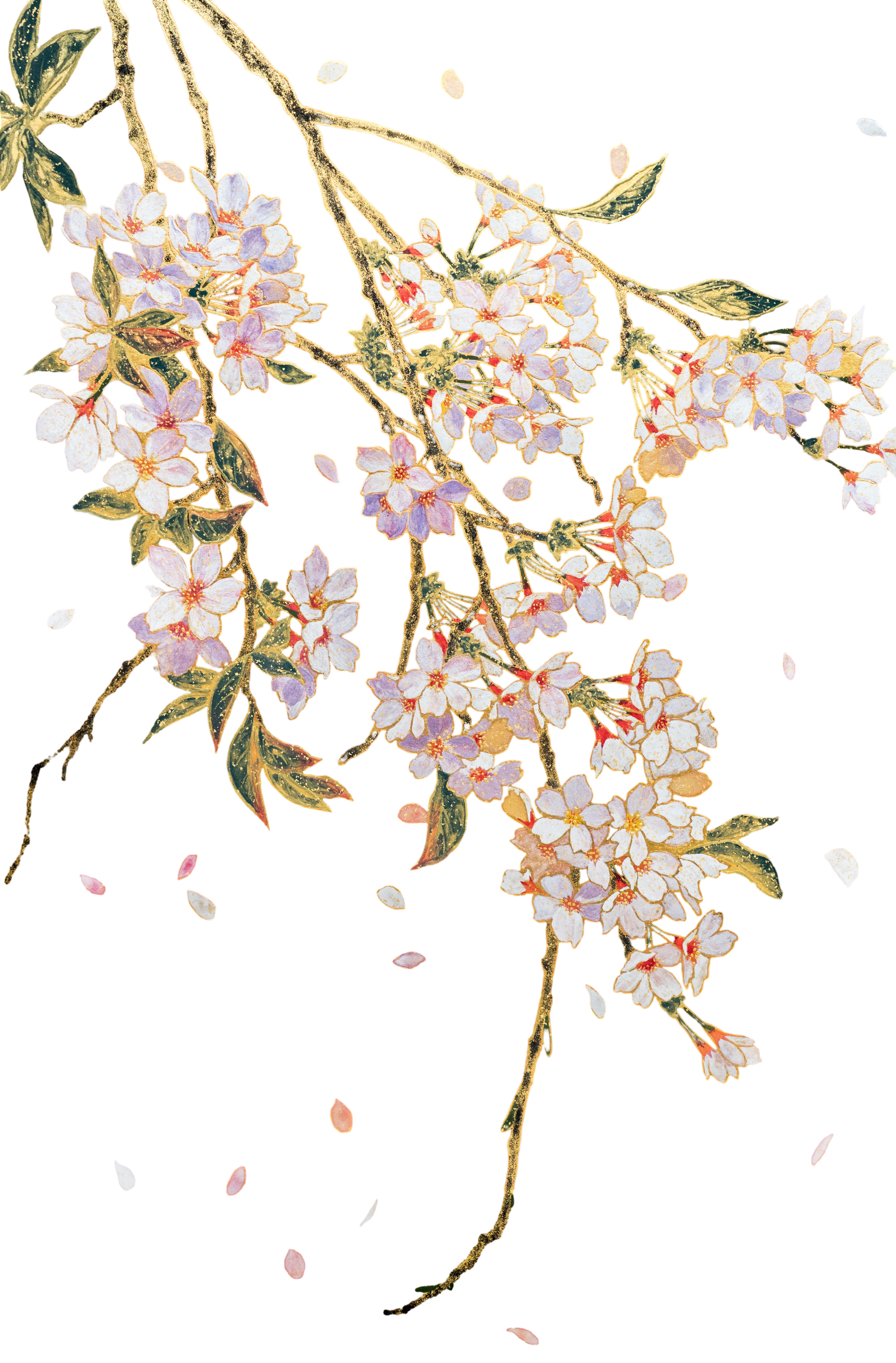 blossom